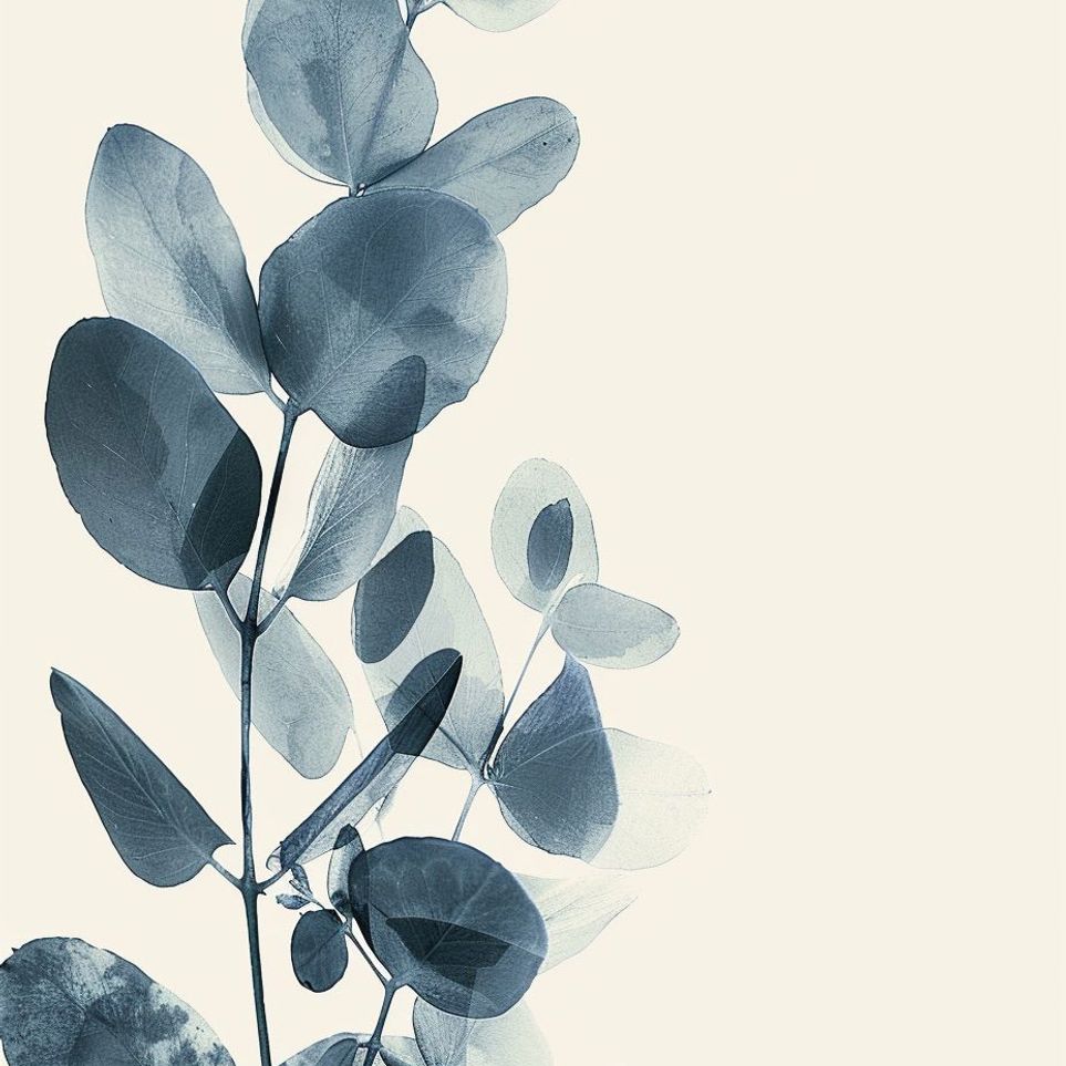 Eucalyptus in quiet blue
