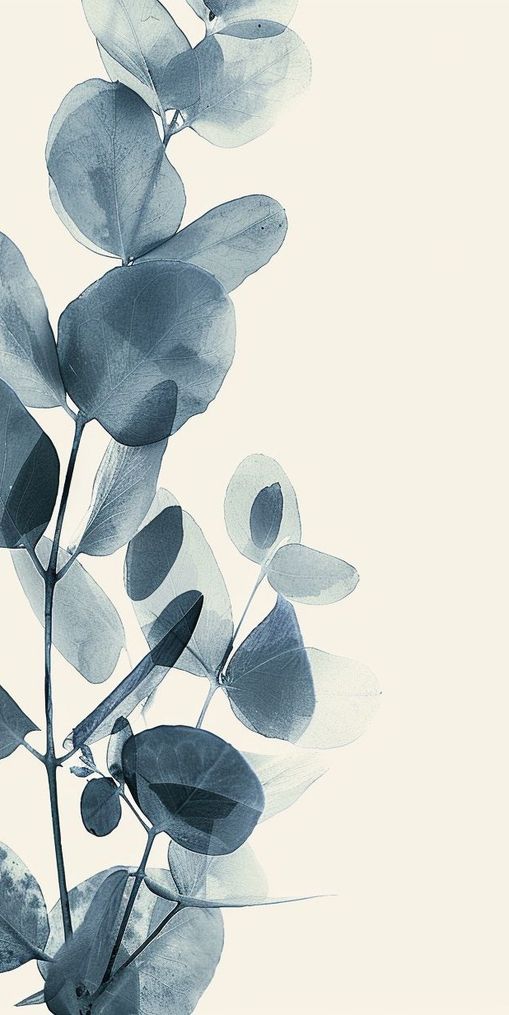 Eucalyptus in quiet blue