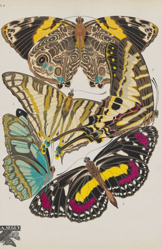 Butterflies among blank paper