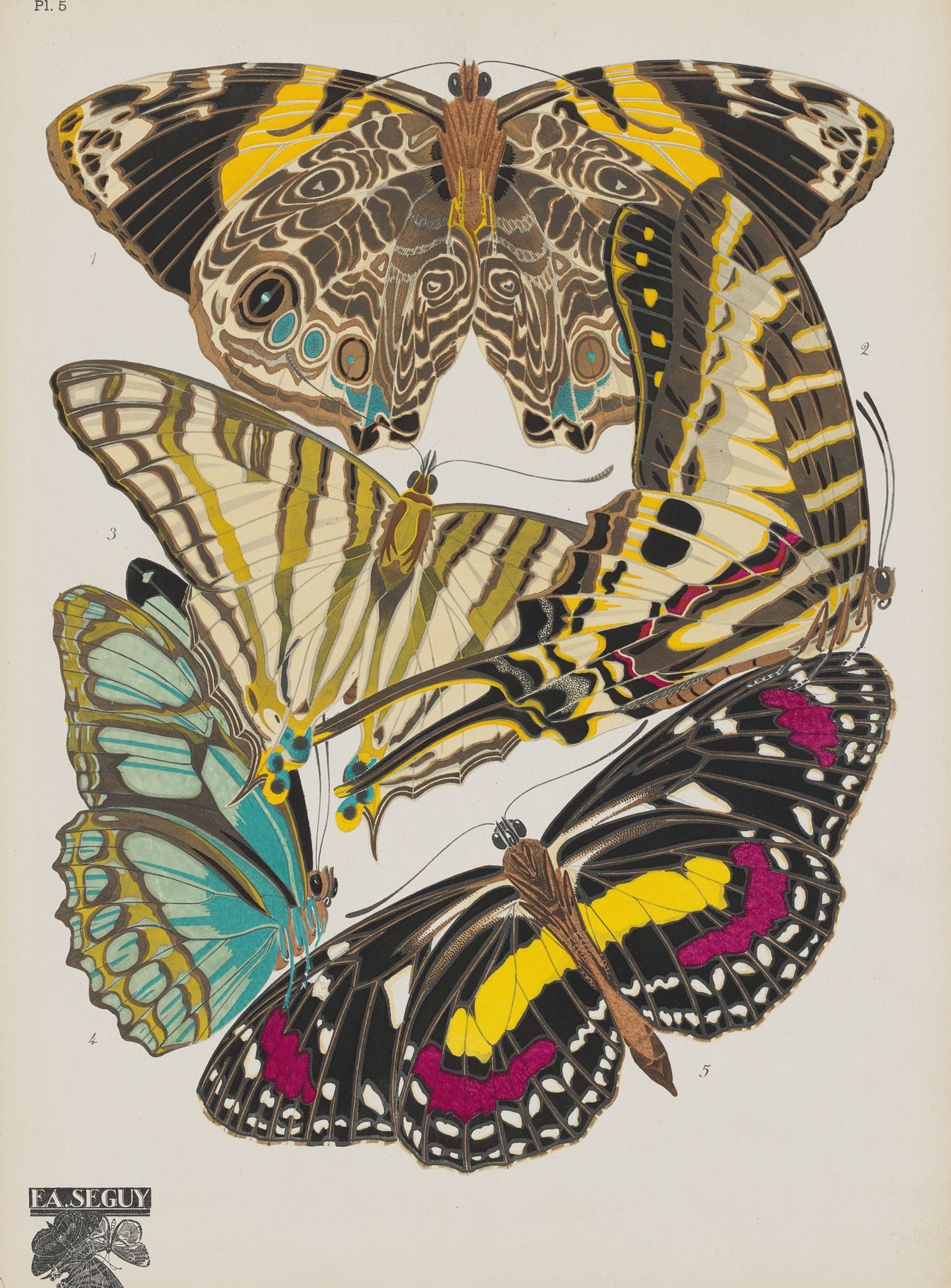 Butterflies among blank paper
