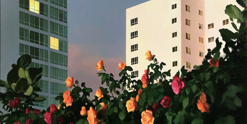 Roses below lit windows