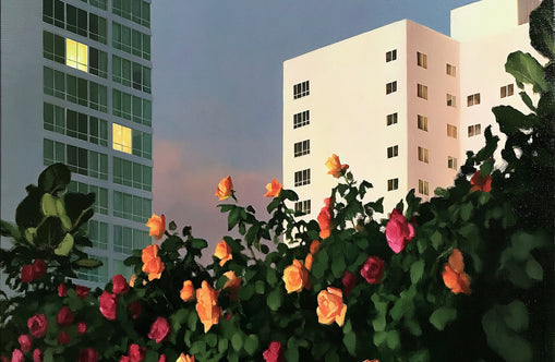Roses below lit windows