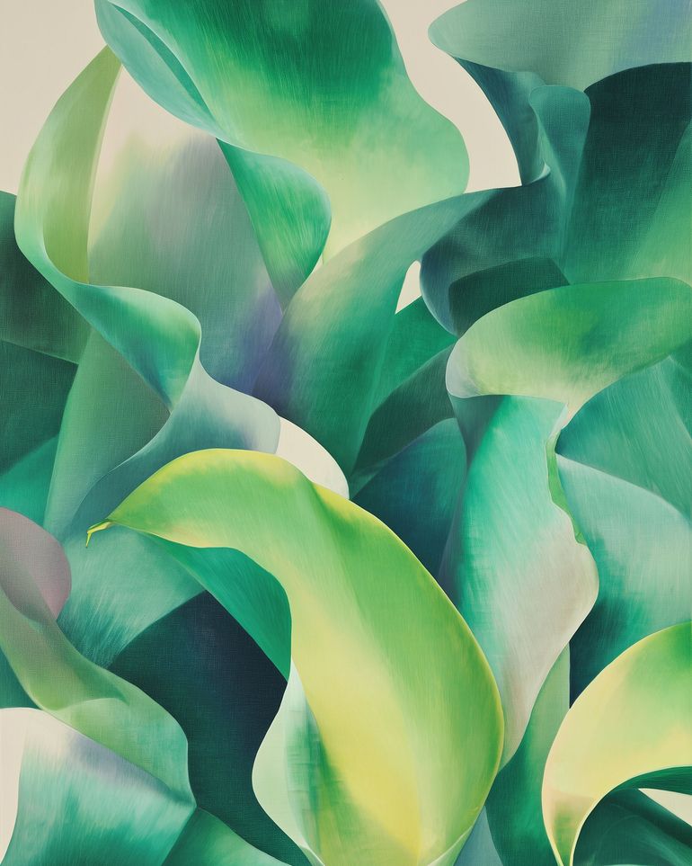 Calla lilies crowd the light