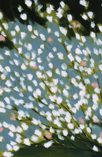 Pink breaks the white field