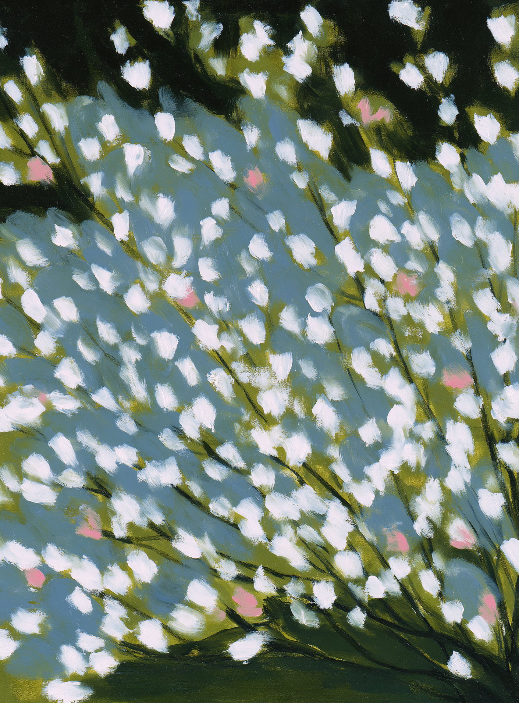 Pink breaks the white field