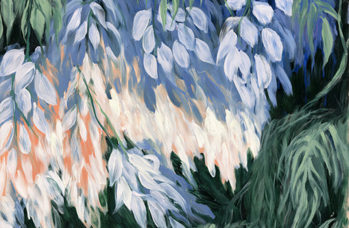 White blossoms in blue shade