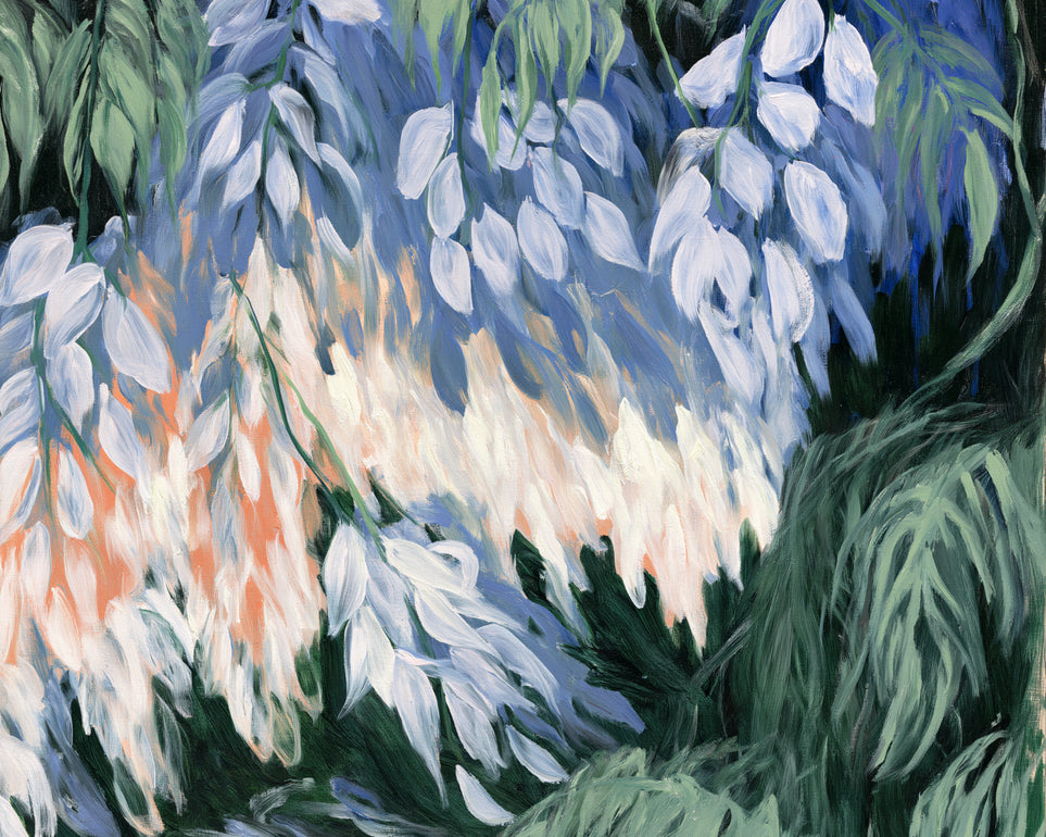 White blossoms in blue shade