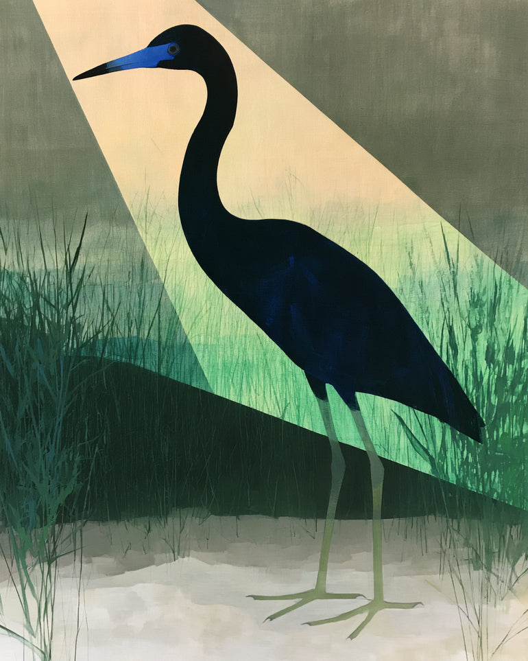Blue beak in green light