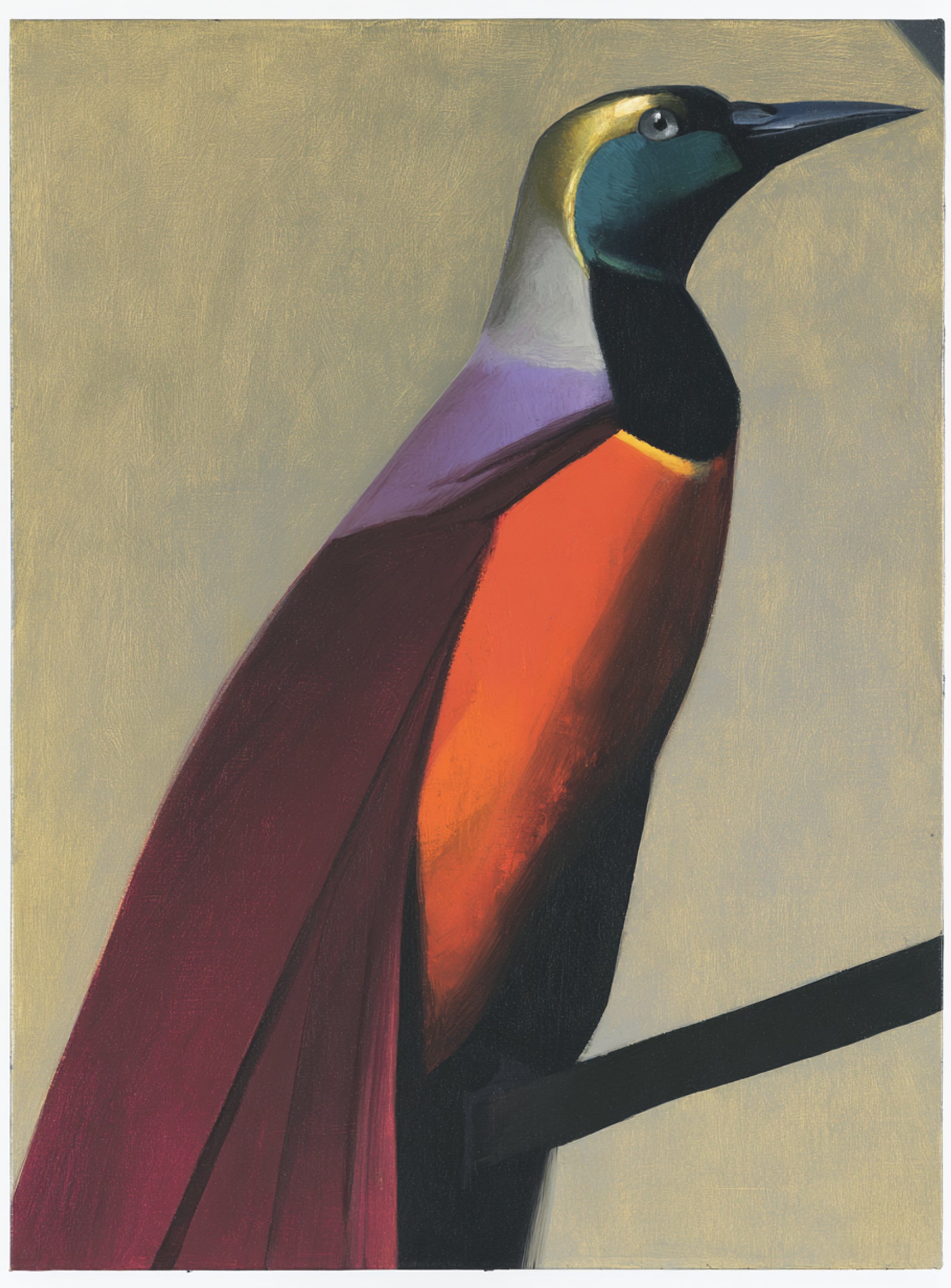Bright bird on a branch