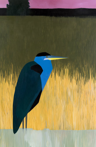 Blue bird in yellow grass