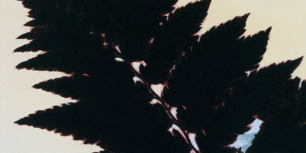 Black leaves on pale ground