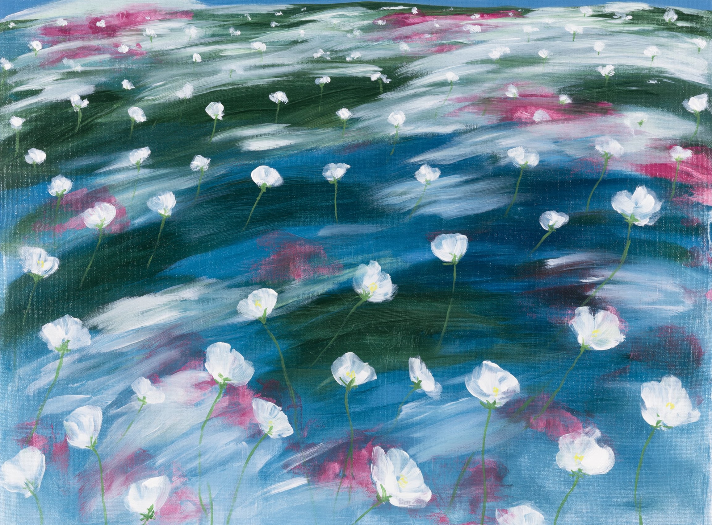 White flowers in windblown hills