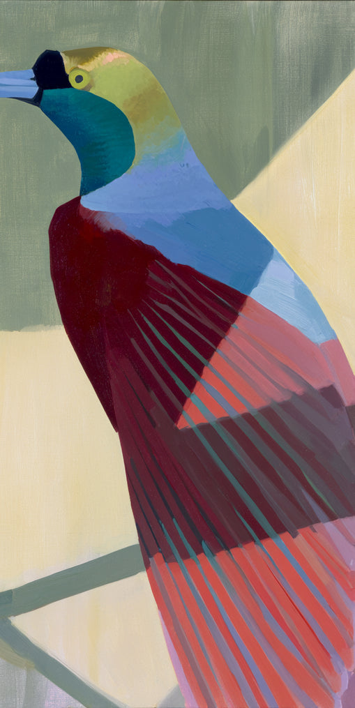 Teal throat on maroon wing
