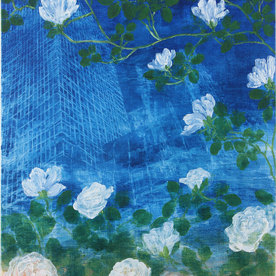 White blossoms on cobalt blue