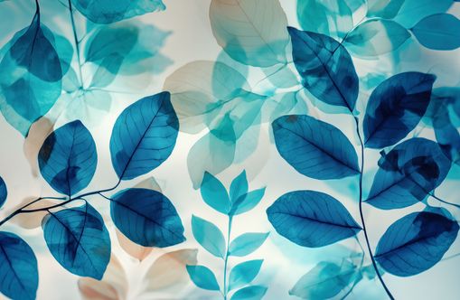 Light Passing Through Blue Veins