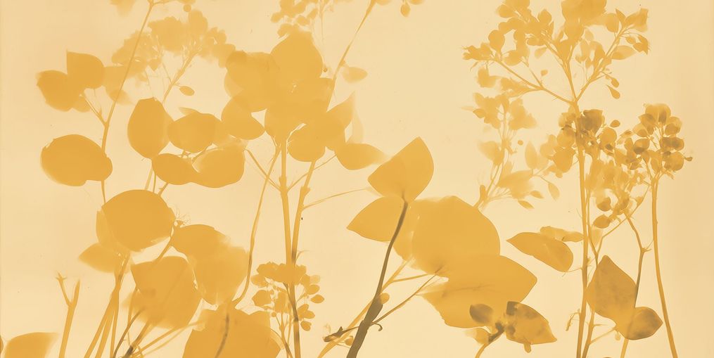 Filtered Radiance