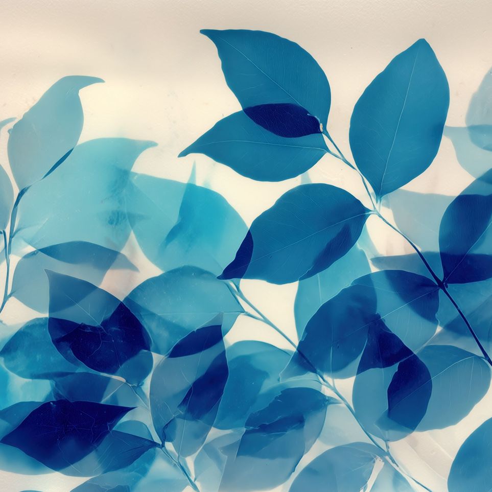 Leaves Spread in Light