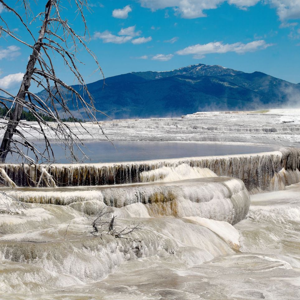 Mammoth Hot Springs