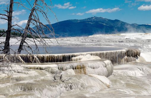 Mammoth Hot Springs
