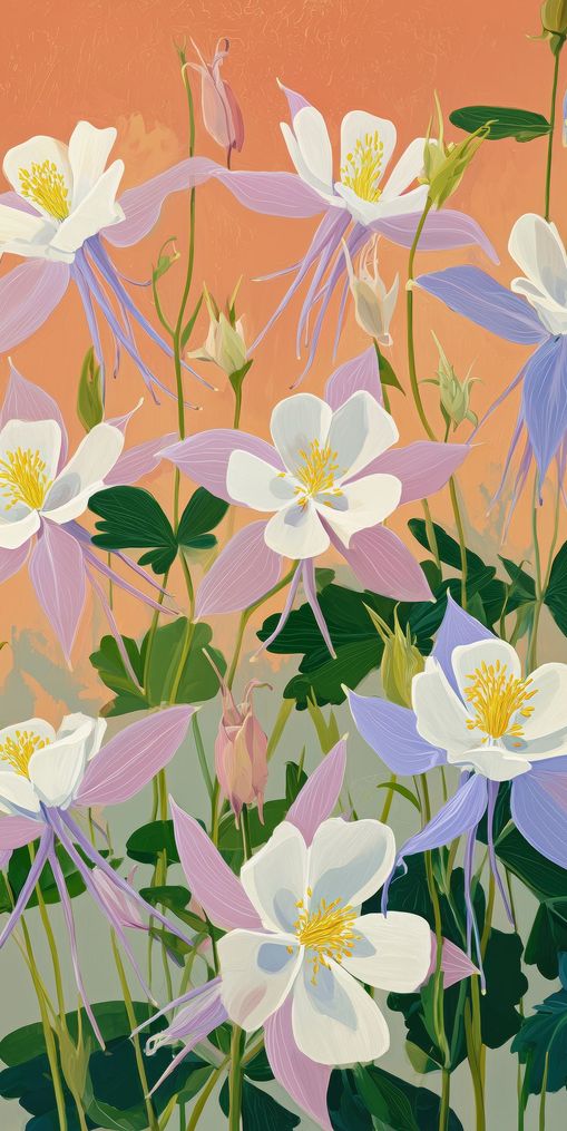 Columbines in Bloom