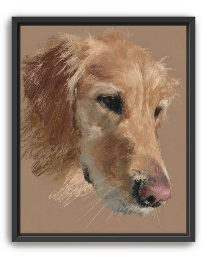 Warm browns on a golden retriever