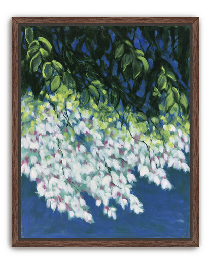 White blossoms in blue shade