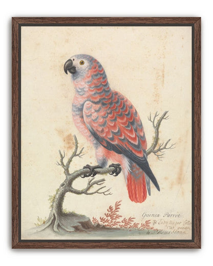 Parrot among bare branches