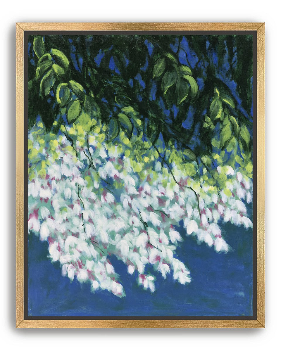 White blossoms in blue shade