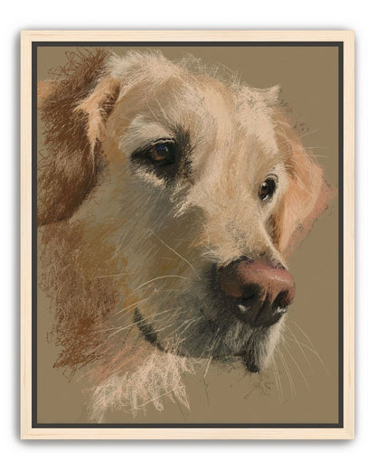 Warm fur in brown quietness