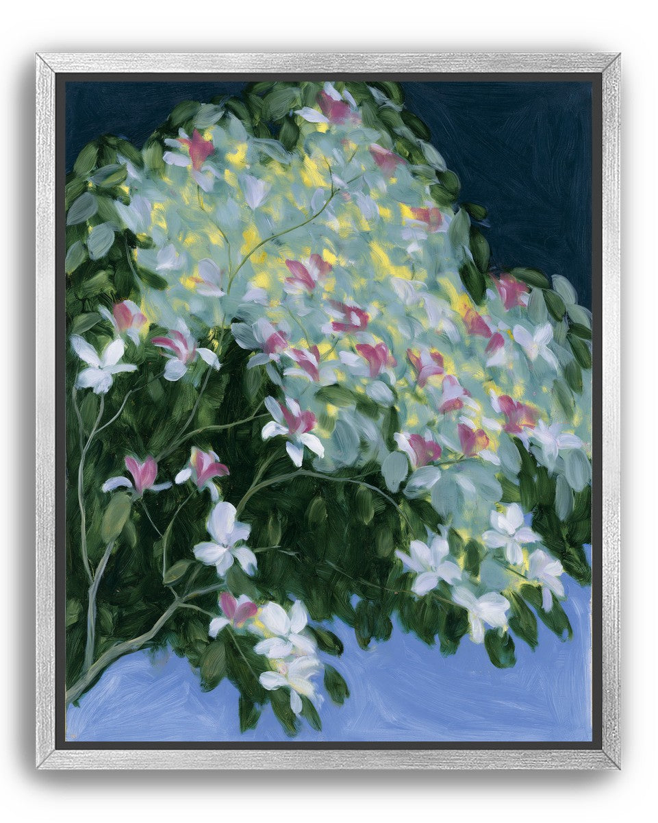 Blossoms across the night sky