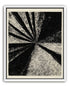 Black rays into grain