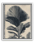 Palm fronds in black ink