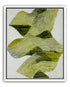 Olive stripes across white