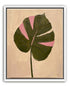 Pink banded leaf on plastered white