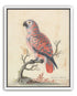Parrot among bare branches