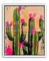 Pink blooms on cacti