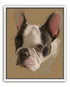 Close portrait with upright ears