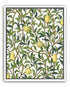 Lemon Garden