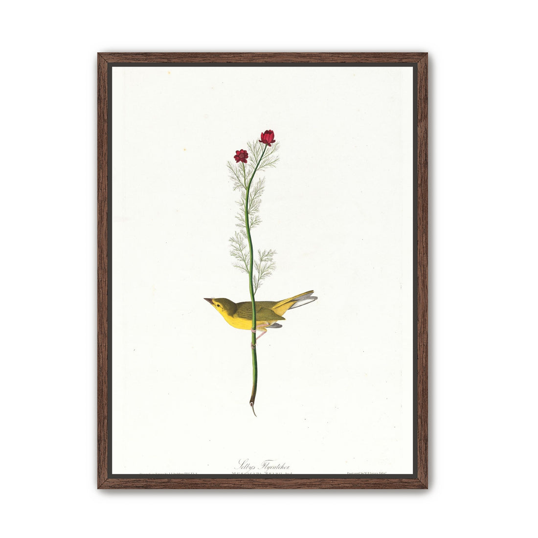 A yellow bird beneath red blooms