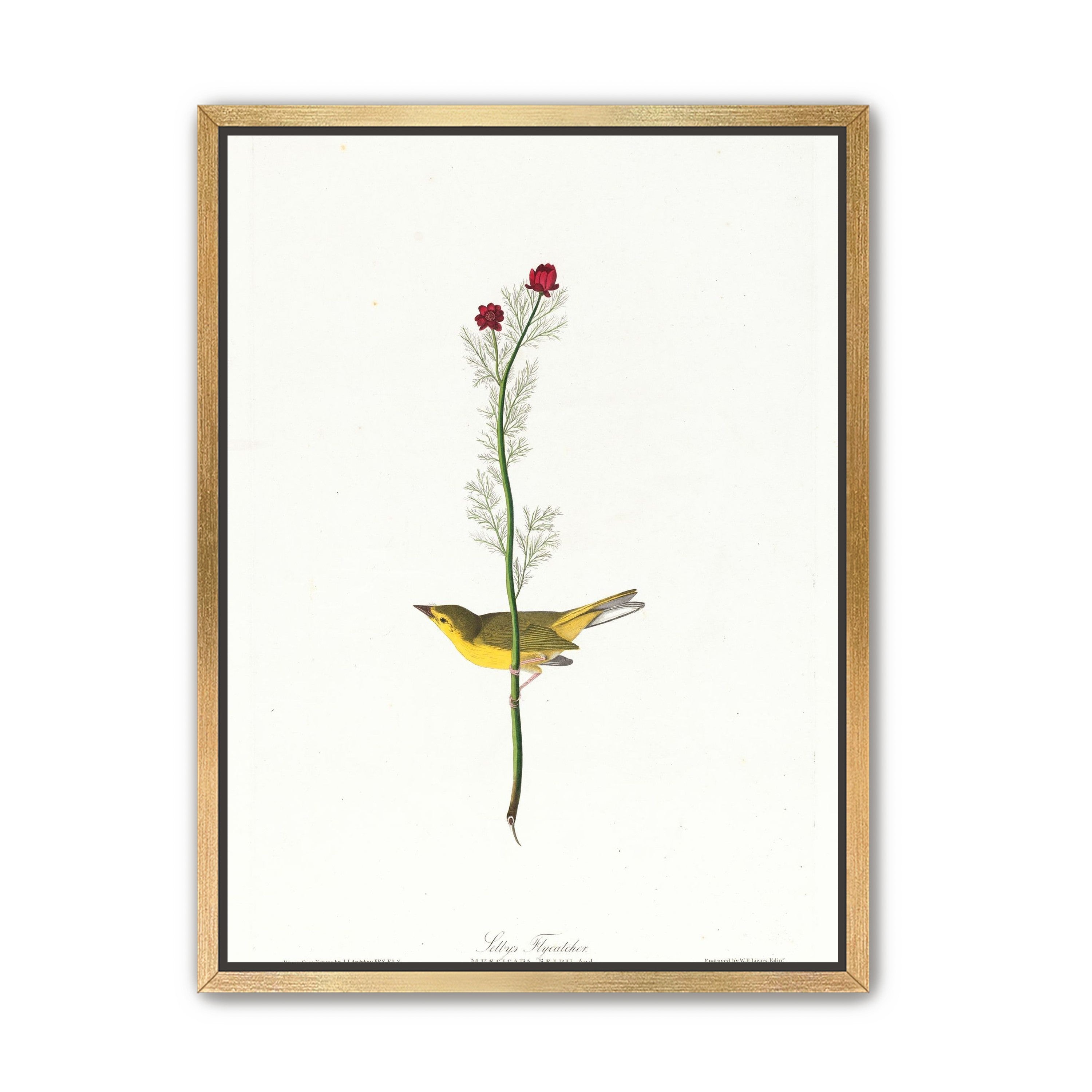 A yellow bird beneath red blooms