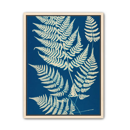 Ferns crossing blue field