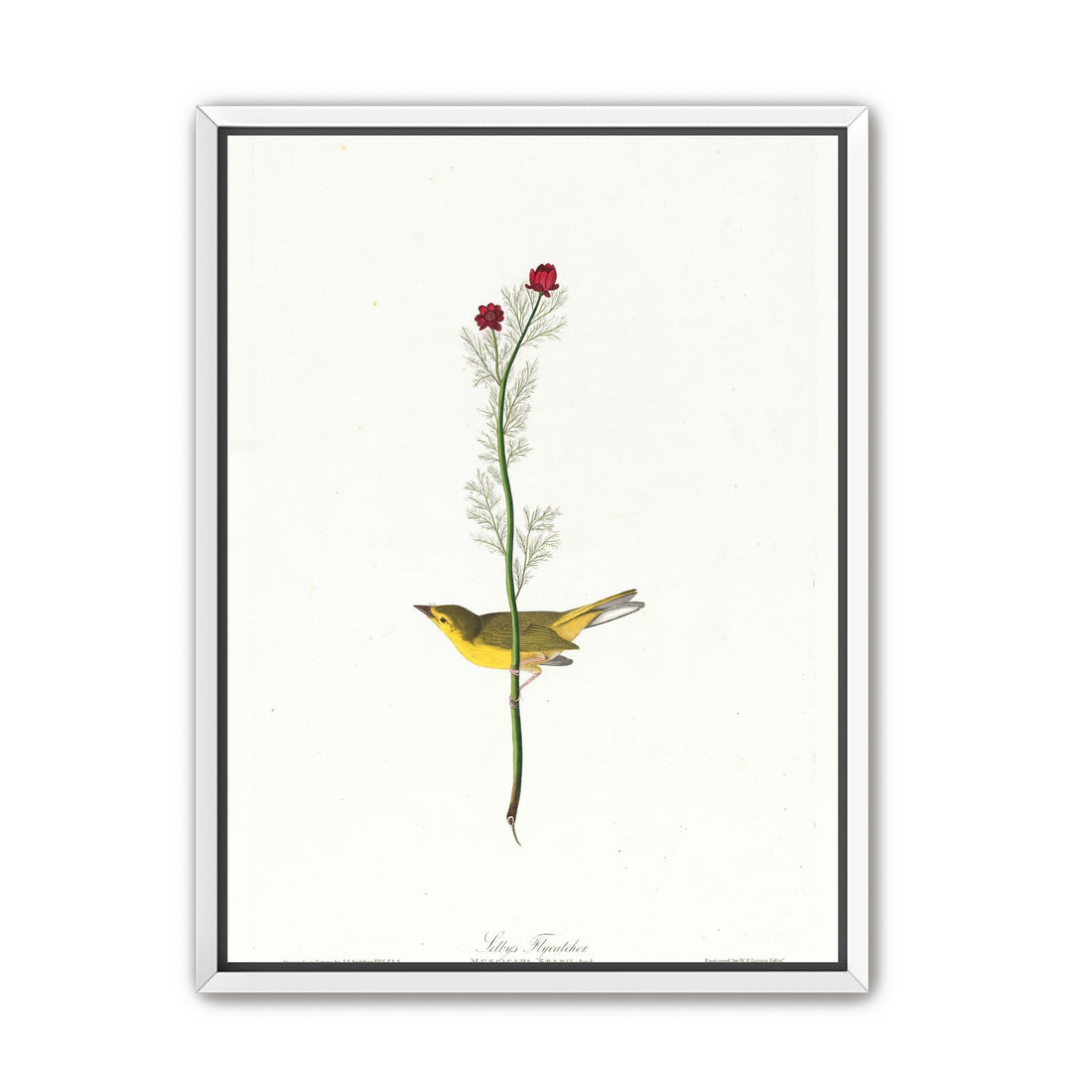 A yellow bird beneath red blooms