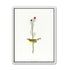 A yellow bird beneath red blooms