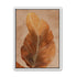 Bronze Leaf