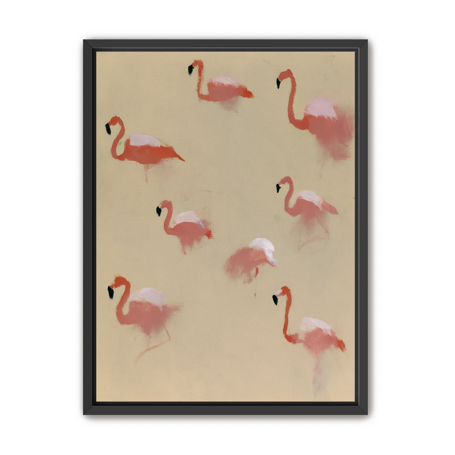 Flamingos in quiet drift