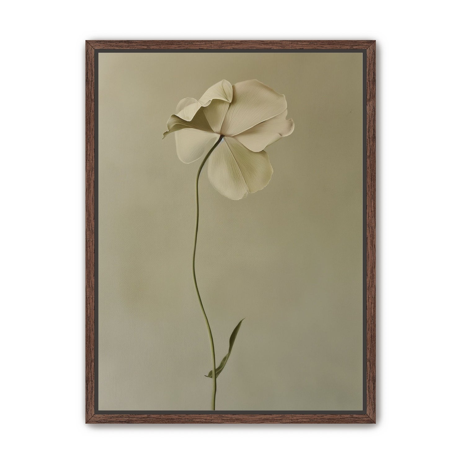 One flower leaning into quiet