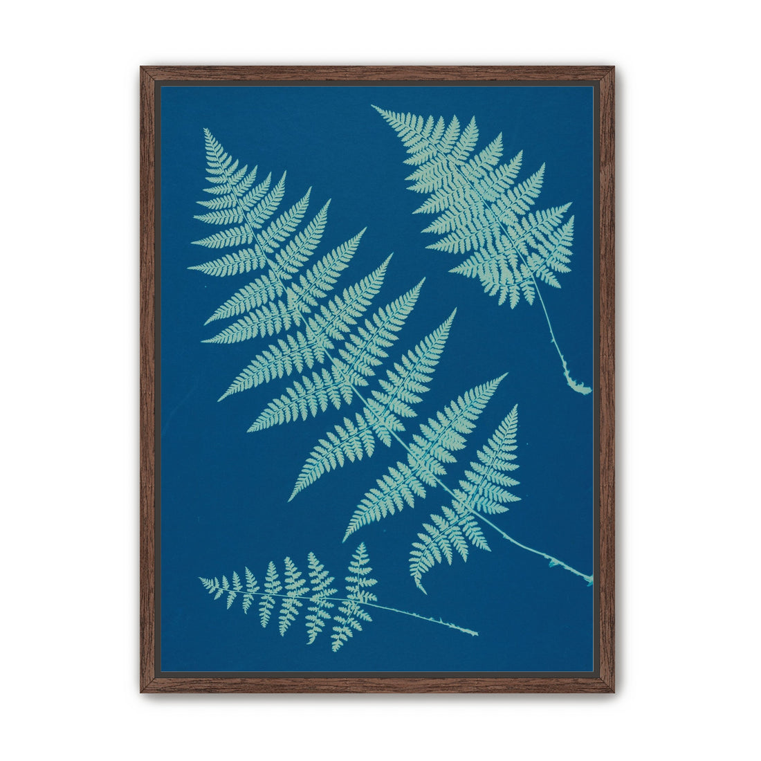 Pale ferns in deep blue