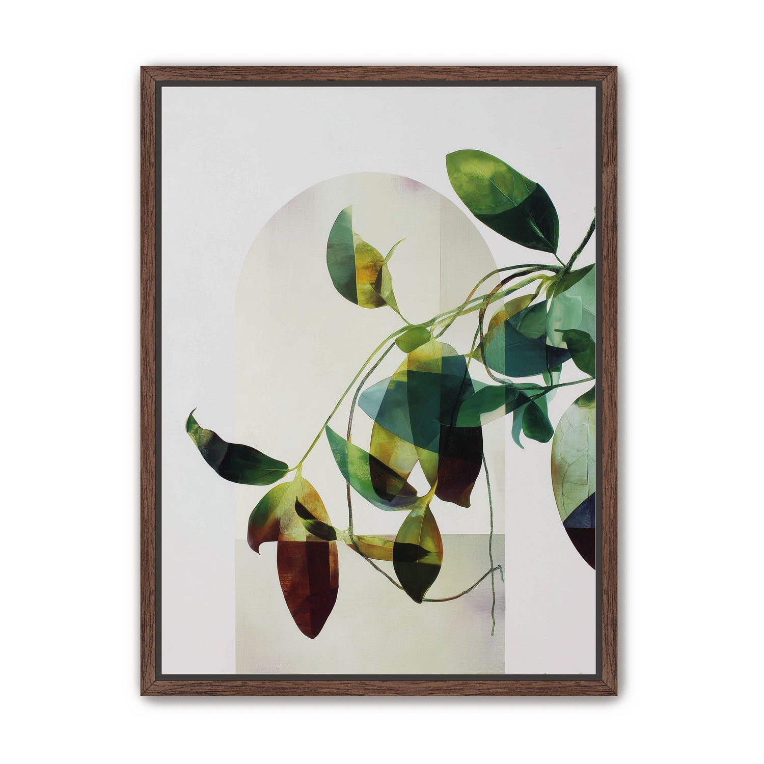 Leaves in a pale halo
