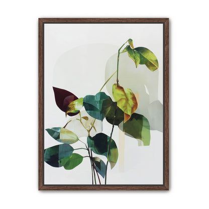 Leaves within pale shadows