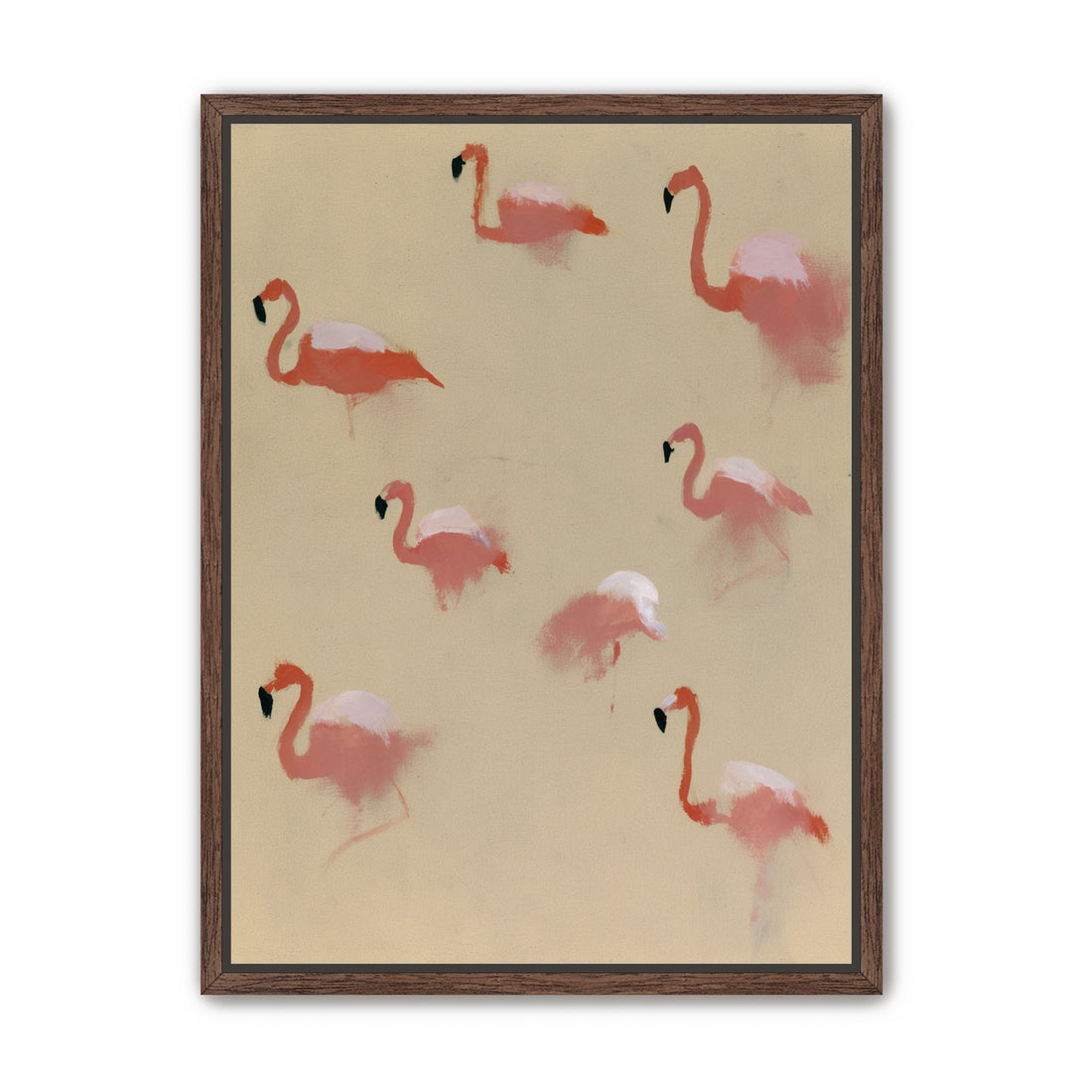 Flamingos in quiet drift